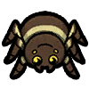 Spider.png