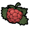 Berry Object.png