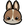 Rabbit .png