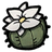 Cactus Flower.png