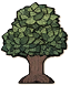 Broadleaf Tree.png