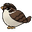 Sparrow.png